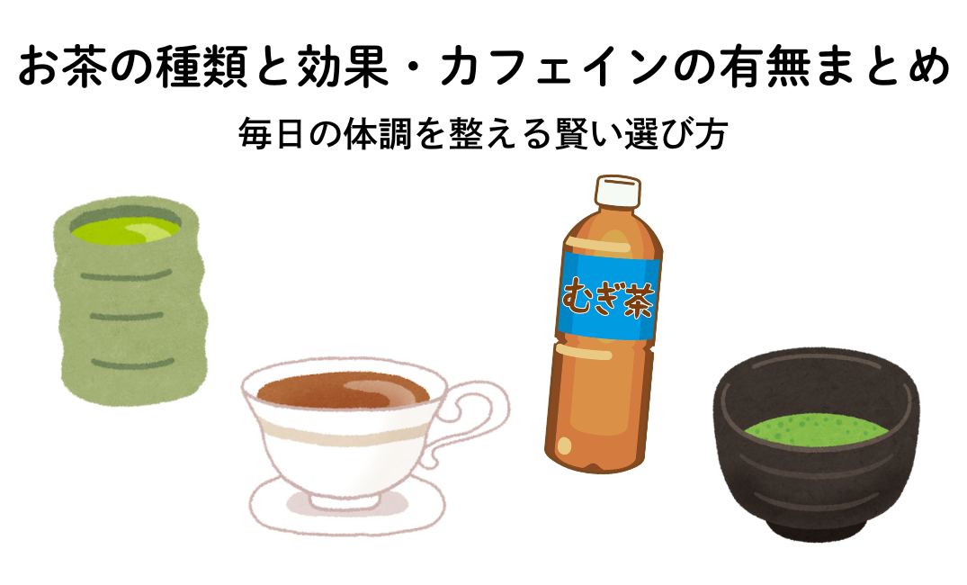 【栄養士が解説】お茶の種類と効果・カフェインの有無まとめ！毎日の体調を整える賢い選び方